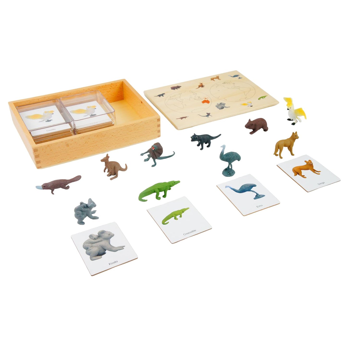 ancona Australian Animals, Spanish/English Bilingual, Montessori Preschool Memory Matching Game Box Set with Animal Figurines & 3-Part Cards, Early Education Toy