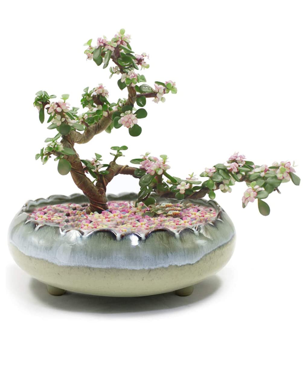 Dahlia 8.3'' Inch Large/Shallow/Wide Drip Glazed Ceramic Planter/Succulent Pot/Plant Pot, Gray