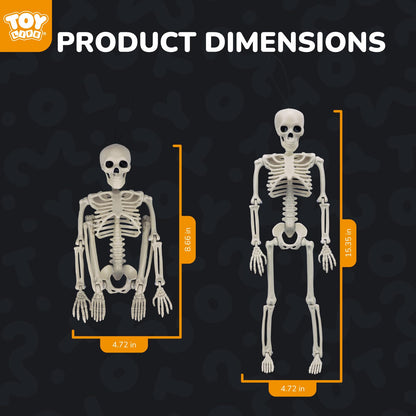 TOY Life 16" Posable Halloween Skeleton Decor - 6 Pcs Full Body Joints Outdoor Indoor Decorations, Plastic Hanging Skeleton for Halloween