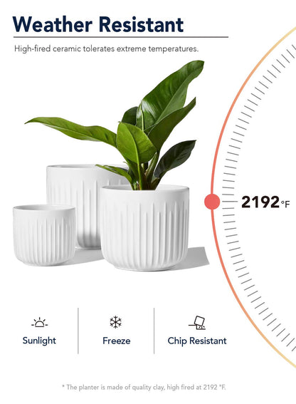 LE TAUCI Ceramic Planters, 8.3/7/6 Inch Indoor Pots for Plants with Drainage Holes & Mesh, Modern Matte Glaze Cylinder Fluted Plant Pot for Snake Plant, Set of 3, White