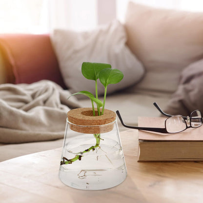 FOMIYES 2pcs Hydroponic Plants Vase Glass Terrarium Round Flower Vase 6.5cm Mouth Diameter Desktop Planter for Indoor Hydroponics Home Office Décor