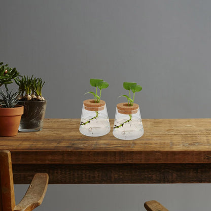 Garneck 2Pcs Desktop Glass Terrarium Transparent Glass Hydroponic Planter Vase Set Micro Landscape Terrarium Container for Home and Office Decor
