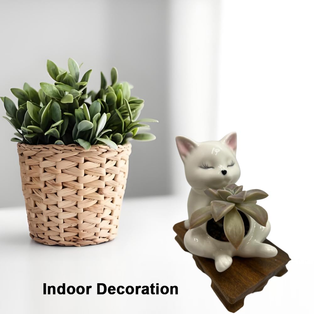 BEECO GIF2U Cute Succulent Pots,White Ceramic Indoor Planters with Drainage and Wood Tray,Round Shallow Flower Plant Pots Decoration Cat
