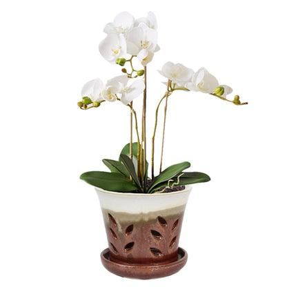 vensovo 5.5 Inch Ceramic Orchid Pot - Orchid Pot with Holes for Repotting, Ceramic Planter with Saucer for Indoor/Outdoor Plants, Brown