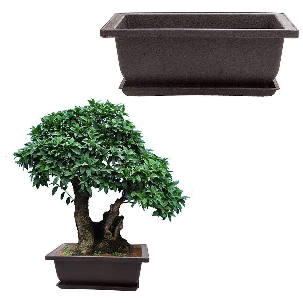 LANIAKEA 12 Pack Bonsai Pot with Trays 6.5 Inch Nursery Pots with Drainage Plastic Bonsai Training Pots for Home Furnishings Décor Flower Nursery Brown