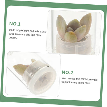 POPETPOP 6pcs Glass Terrarium Keychain for Air Plant Hydroponic Decor Keychain Accessory