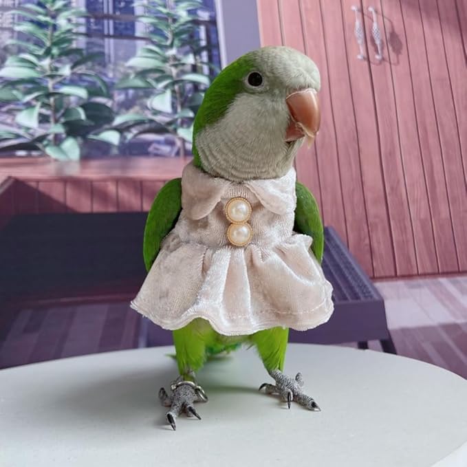 Bird Costume Bird Diaper Flight Suit Parrot Velvet Fleece Skirt Clothes Cosplay Photo Prop for Conure Lovebird Parakeet Cockatiel Macaw Small Animals Apparel (White,Small)