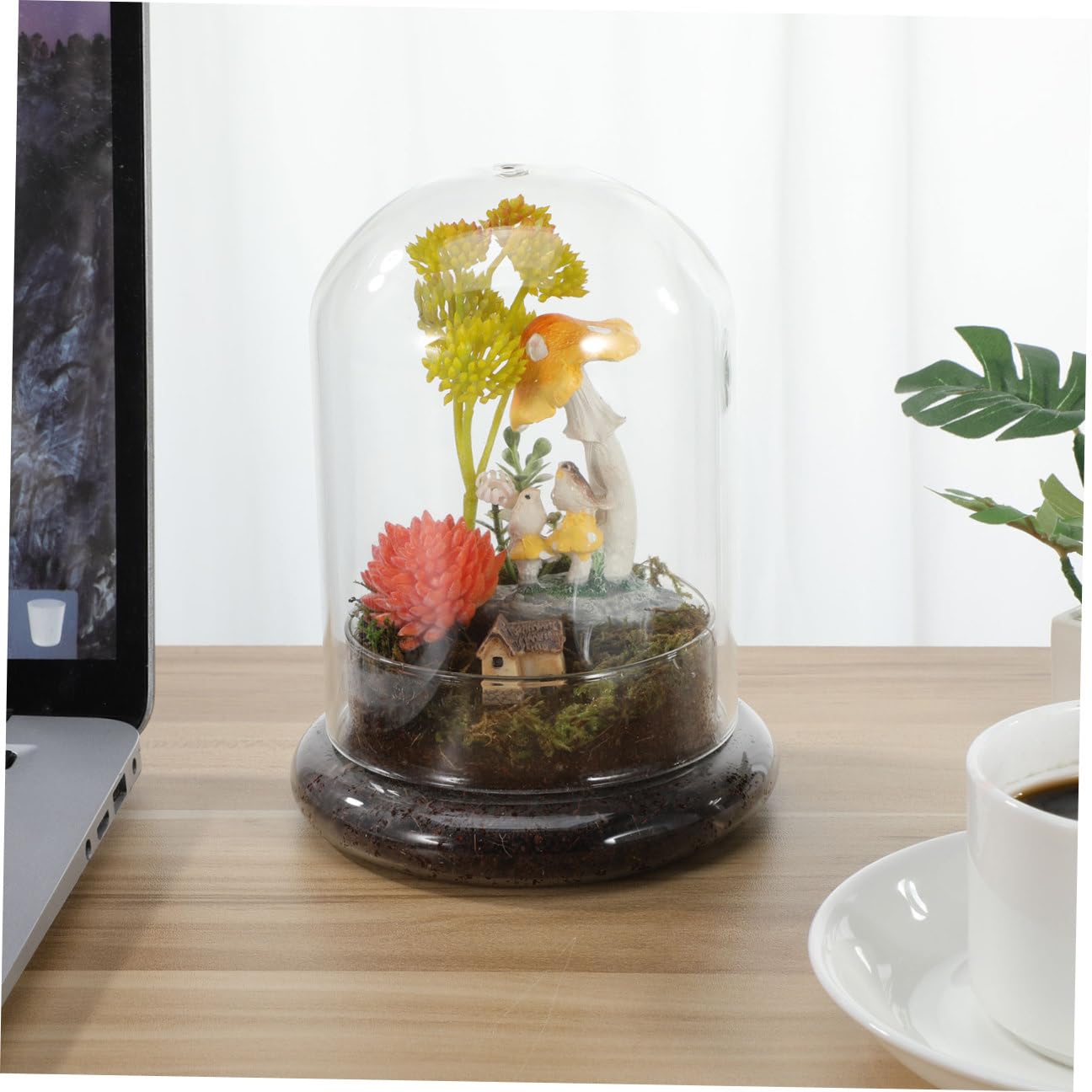IMIKEYA Glass Moss Bottle for Terrarium Propagation Planters Plant Accessories Indoor Decor Fairy Garden Kit