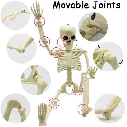 CAMIRUS 4PCS Halloween Skeletons Decorations, 16" Full Body Plastic Mini Little Skeleton Posable Joints Poseable Skeleton for Halloween Party Hanging Decoration Yard Lawn Garden Patio Decor