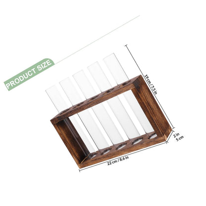 LALAFINA Glass Test Tube Vase Large Hydroponic Planter Container for Water Propagation Indoor Plants Terrarium Home Décor