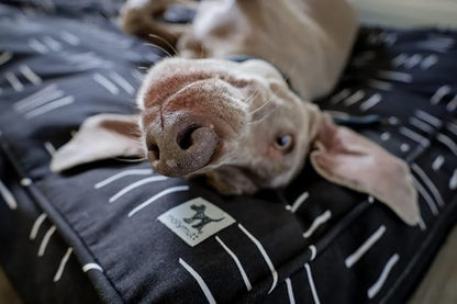 Molly Mutt Huge Dog Bed Cover -Dreams - Measures 36”X45”X5’-100% Cotton - Durable - Breathable - Sustainable - Machine Washable Dog Bed Cover
