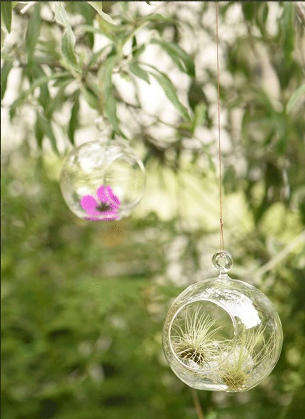 Ecosides Set of 100 Hanging Glass Orbs Hanging Glass Globe Terrariums Without 2 Side Hole for Candle Holder, TeaLight Holder Candlestick for Wedding Decor