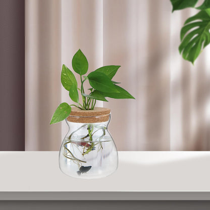 IDEANATEGRATE Glass Plant Jar Hole Lid Micro Landscape Terrarium Container Hydroponic Vases for Desktop Gardening Glass Ecosystem Container (Size)