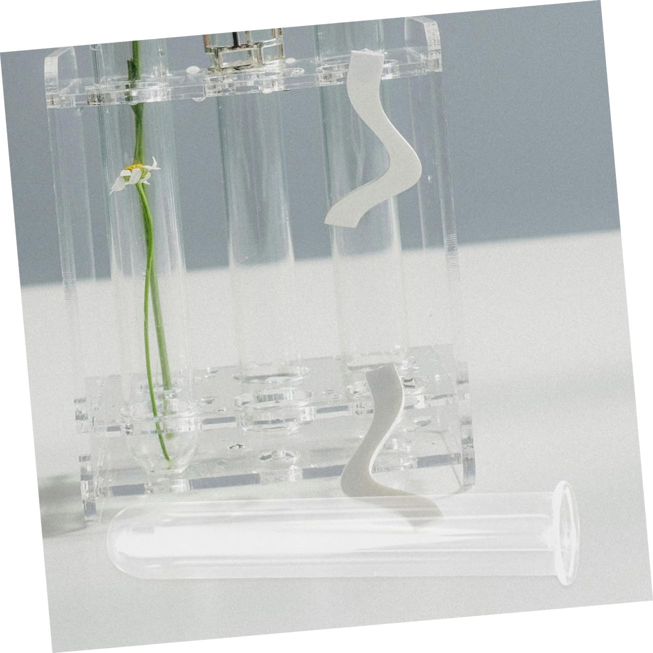 SEWOART 5pcs Hydroponic Test Tube Vase for Terrarium Flower Arrangements Glass Tube Vases for Indoor Plants