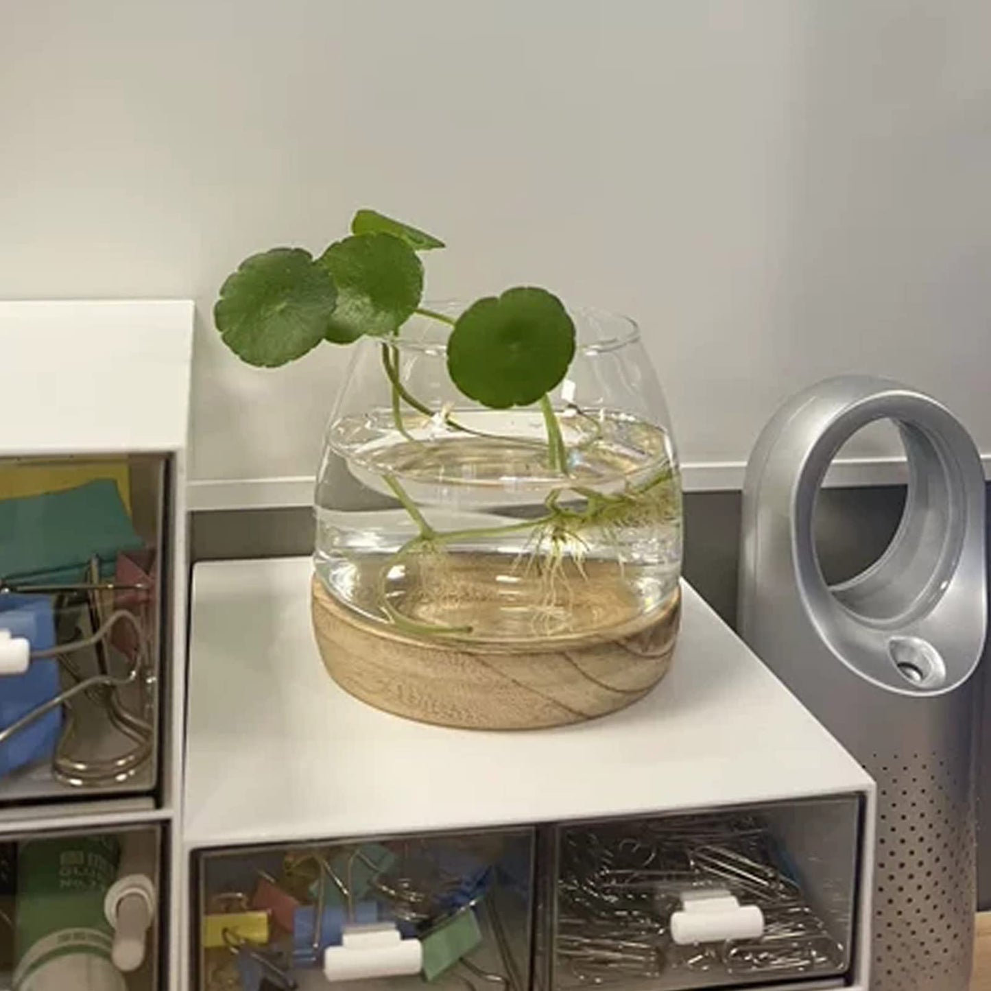 DCQRY Clear Glass Bubble Bowl Glass Planter Hydroponic Plant Vase with Detachable Wood Base Unique Fish Tanks Glass Terrarium Container Pot for Hydroponic Plants Home Garden Decor