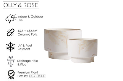 Olly & Rose White with Beige Streaks Ceramic Plant Pot Set 2-16.5,13.5cm Medium Plant Pots Outdoor and Indoor - White Planters - Flower Pots