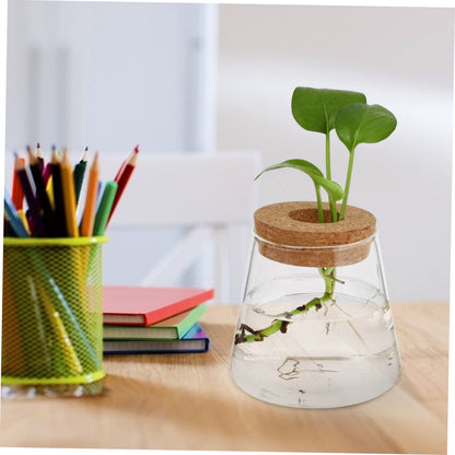 ETHZZLE 2Pcs Desktop Hydroponics Glass Planter Vase for Indoor Plants Chic Terrarium Containers for Home Office Decoration Floral Arrangement and Gift Ideas