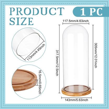 BENECREAT 4.6x12inch Eternal Transparent Flower Glass Cover, Glass Display Dome Cloche Jar with Sandy Brown Solid Wood Base for DIY Flower Craft