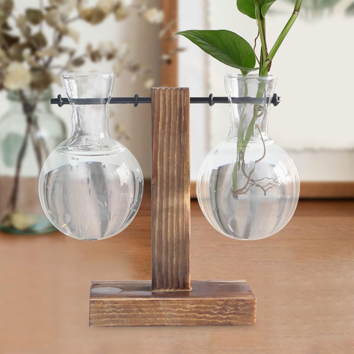HIAKDOFT 3Pcs Glass Propagation Planter Vase with Wooden Stand, High Borosilicate Plant Terrarium Jars for Hydroponic Plant Propagation and Indoor Desktop Gardening
