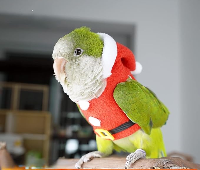 Bird Clothes Birds Flight Suit, Christmas Hoodie for Parrots Cockatiel Sun Conure Christmas Party Cosplay Photo Prop Bird Shirt Small Animals Apparel (with Diaper,Lorikeet)