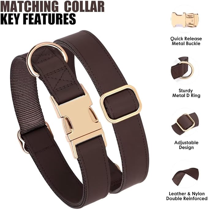 PET ARTIST Soft PU Leather Dog Collar and Leash Set, Bright & Stylish 5FT PU Leather Leash and Collar Set, Durable Pet Collars with Quick Release Metal Buckle for Small Dogs,Brown,S(9"-14")