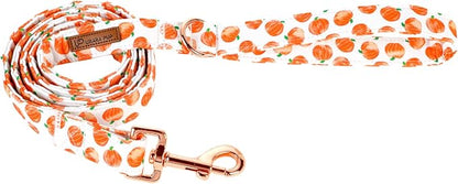 Dog Leash & Collar Set, Sturdy Durable Cotton, Pumpkin Pattern for Small to Large Dogs