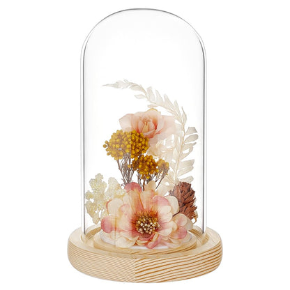 BENECREAT Glass Cloche Dome with Wood Base, 6.18x2.99inch Arch Display Dome for Plants and Collectibles, Complete Set Glass Bell Jar with Solid Wood Stand for Home Decor, Navajo White