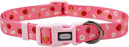 Dog Collar Leash Set, Floral Pattern, Polyester Material, Adjustable Collar and 5ft Matchcing Leash, for Small Dogs.(S, Daisy and Strawberry)