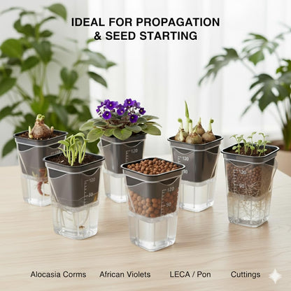 12 Pack 2" Clear Self Watering Pots with Wick System, Water Level Indicator & Drainage Hole, Consistent Moisture for Seedlings, Cuttings, Alocasia Corm & African Violet, 12 Plant Labels Included