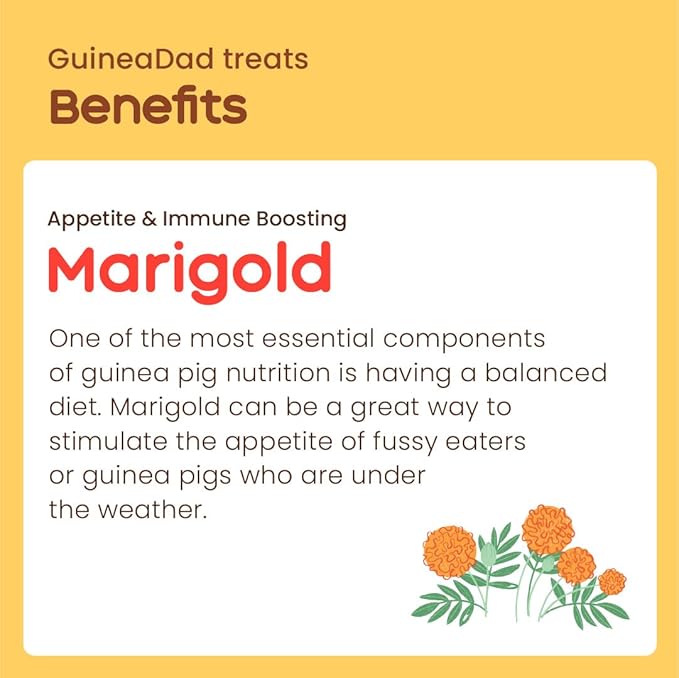 GuineaDad Organic Guinea Pig Herbal Treats - Guinea Pig Food with Convenient Packaging - Marigold Flavor - 10 fl. oz - Guinea Pig Treats Help with Bonding - High in Nutrition, Immune Support - Small