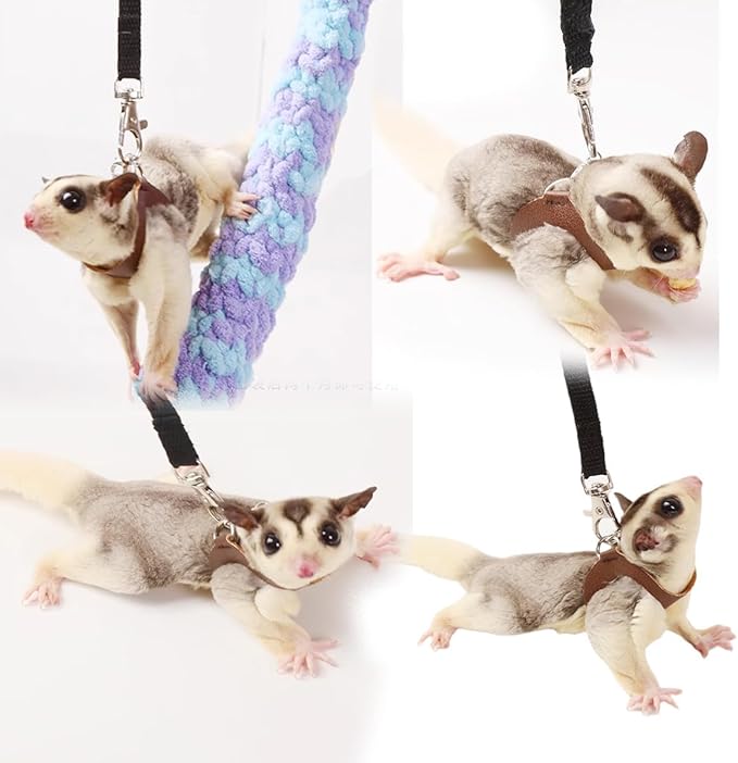 MANON ROSA Sugar Glider Harness & Leash Set - Escape-Proof 3-Piece Adjustable Vest for Squirrels Rats Mice Mouse & Small Animals - Hamster Gerbil Walking Gear, Pet Toy Accessories, Red