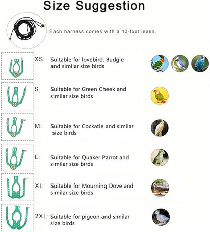 Adjustable Bird Harness & Leash Set for Small Birds,FitsBudgie,Parakeets, Conures, Cockatiels,Green Cheek,Quaker Parrots(Green, 2XL) Z6350-14