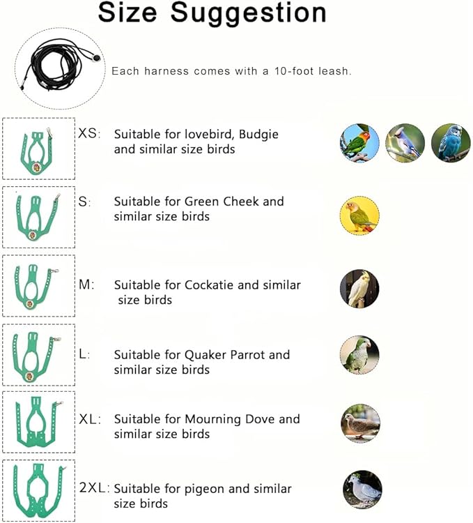 Adjustable Bird Harness & Leash Set for Small Birds,FitsBudgie,Parakeets, Conures, Cockatiels,Green Cheek,Quaker Parrots(Green, XS) Z6350-6