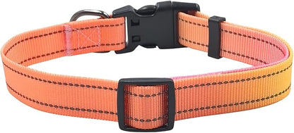 Dog Collar Leash Set, Gradient Color, with Safety Reflective Strips, 5 ft Matching Leash, Neoprene Padded Handle, Adjustable 4 Sizes for Small Medium Large Dogs.(L, Orange Pink)