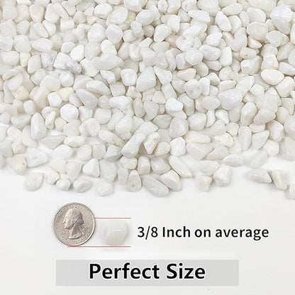 YISZM 2LB Succulent and Cactus Gravel Pebbles, 3/8 Inch Natural Decorative Polished Stones, River Rocks for Plants, Vases, Aquariums, Terrarium and Outdoor Gardening, White