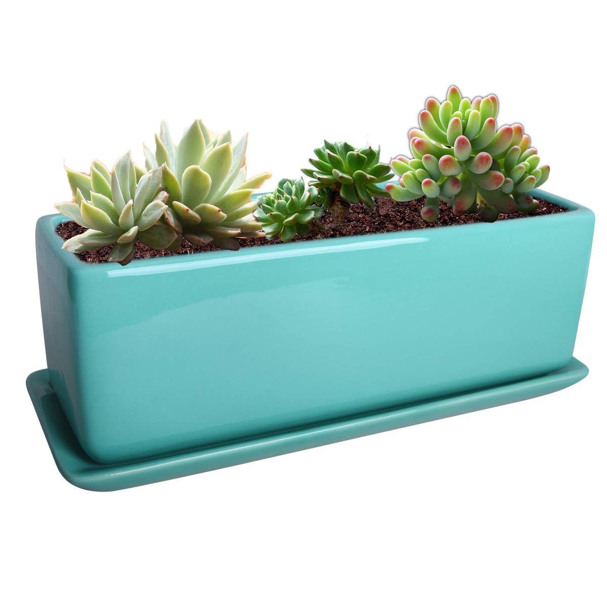 Vencer 12 Inch Rectangular Modern Minimalist Ceramic Succulent Planter Pot - Window Box with Saucer,Office Desktop Potted Stand,Turquoise,VF-0135T