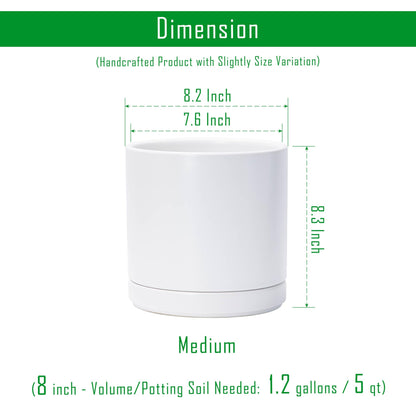 D'vine Dev 8.2 Inch Ceramic Planter Pot with Drainage Hole and Saucer, Indoor Cylinder Round Planter Pot, White, 94-O-D-1