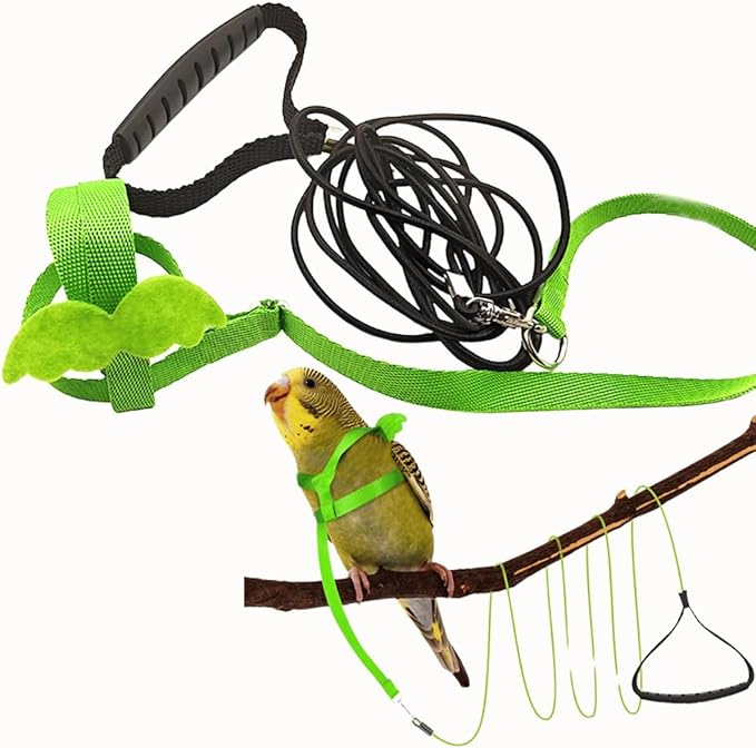 Pet Parrot Bird Harness and Leash, Adjustable Training Design Anti-Bite, Bird Nylon Rope with Cute Wing for Parrots, Suitable for Macaw Cockatoo Cockatiel Lovebird Conure African Grey (Green,S)