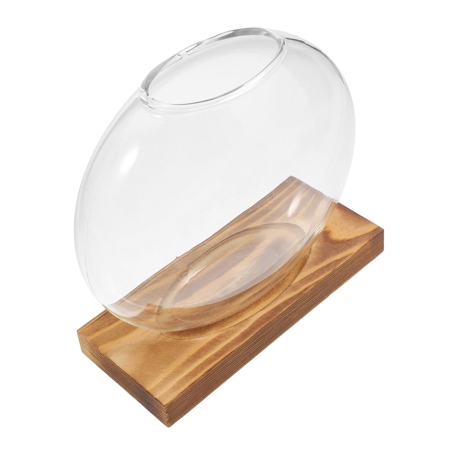 Toyvian Transparent Hydroponic Propagation Vase with Wooden Base Soil Glass Planter for Indoor Plants Terrarium Jar for Root Observation Versatile Decorative Hydroponic Station for Home