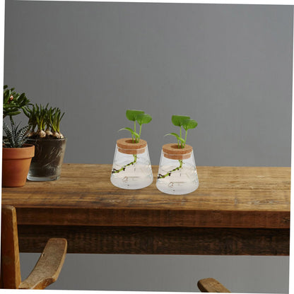 MAGICLULU 2Pcs Glass Terrarium for Hydroponics Plants Desktop Vases with Smooth Glass Craftsmanship Stylish Plant Propagation Jars for Home Office Decoration