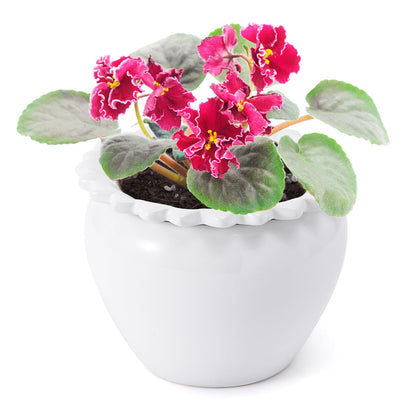 Lovely Ran African Violet Flower Pot Ceramic Self Watering Flower Pot 6.5 * 4.6 * 4 inch Simple Plant Self Watering Pot Indoor Flowers High Absorption Herbaceous Flower Pots Modern Decor Pots
