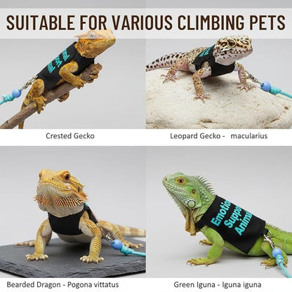 2 Pack Bearded Dragon Clothes Harness Set – Handmade Reptile Harness & Costume, Perfect for Outdoor Walking, Training, Guinea Pig & Lizard Apparel, Christmas Outfit & Photo Prop(Blue,Pink)