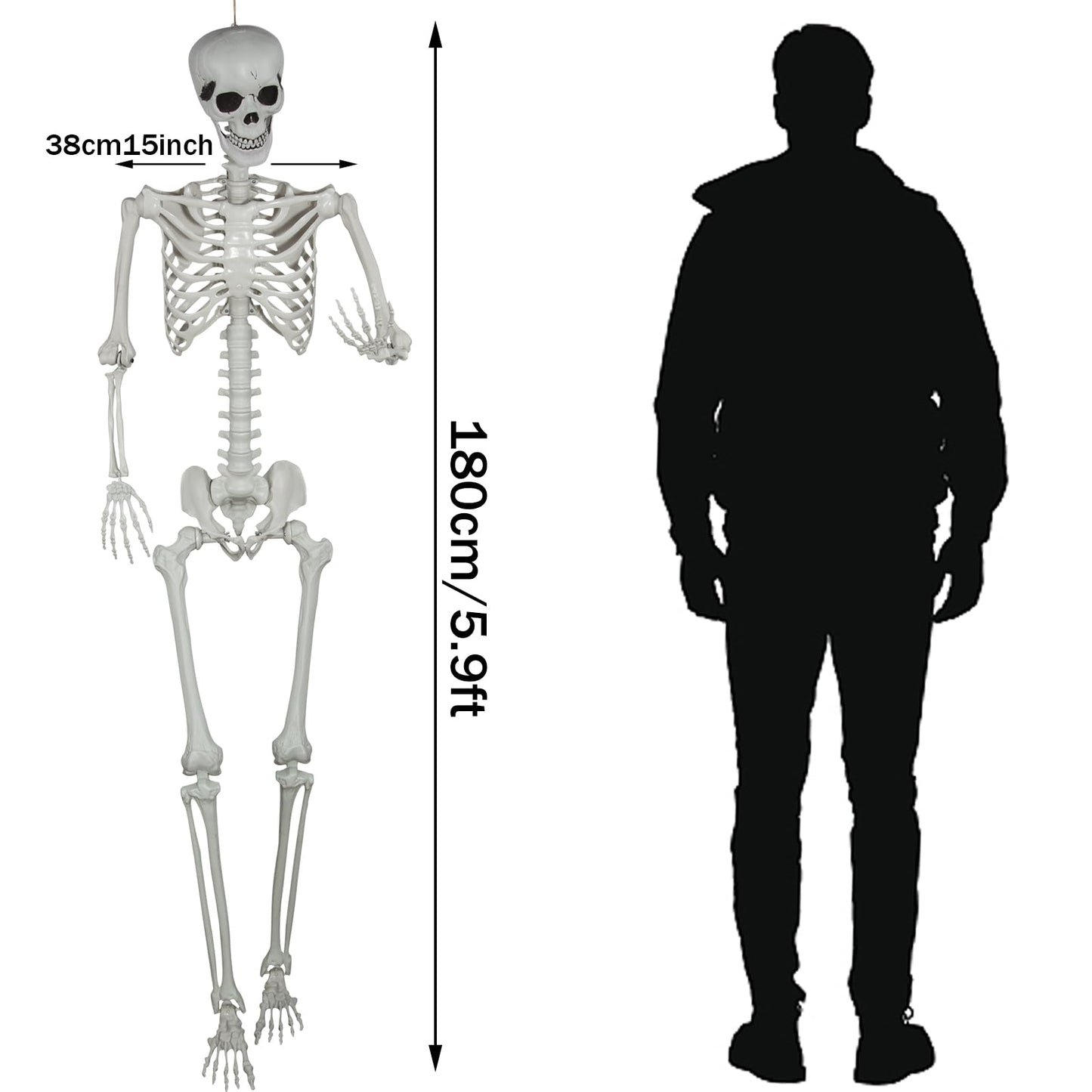 5.9ft Halloween Life Size Skeleton Realistic Full Body Skeletons Plastic Human Bones with Movable Joints for Halloween Props Spooky Party Decoration