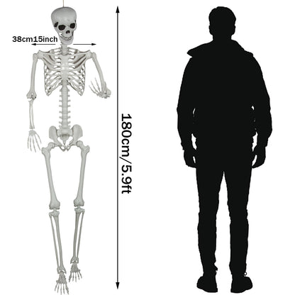 5.9ft Halloween Life Size Skeleton Realistic Full Body Skeletons Plastic Human Bones with Movable Joints for Halloween Props Spooky Party Decoration (2, 5.9ft)
