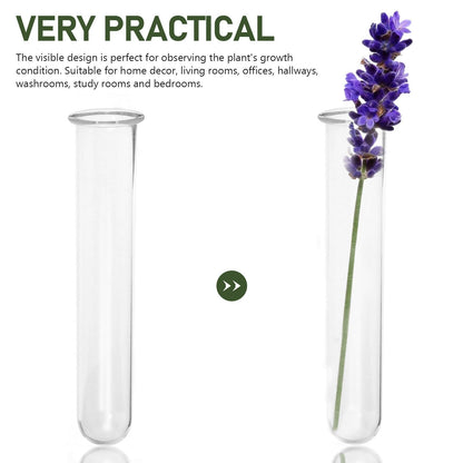4 Pcs Glass Test Tube Vases for Flowers,5.9 x 1.18 Inch Hydroponic Propagation Tubes Plant Terrarium for Home Office Cafes Flower Shop Desktop Decoration