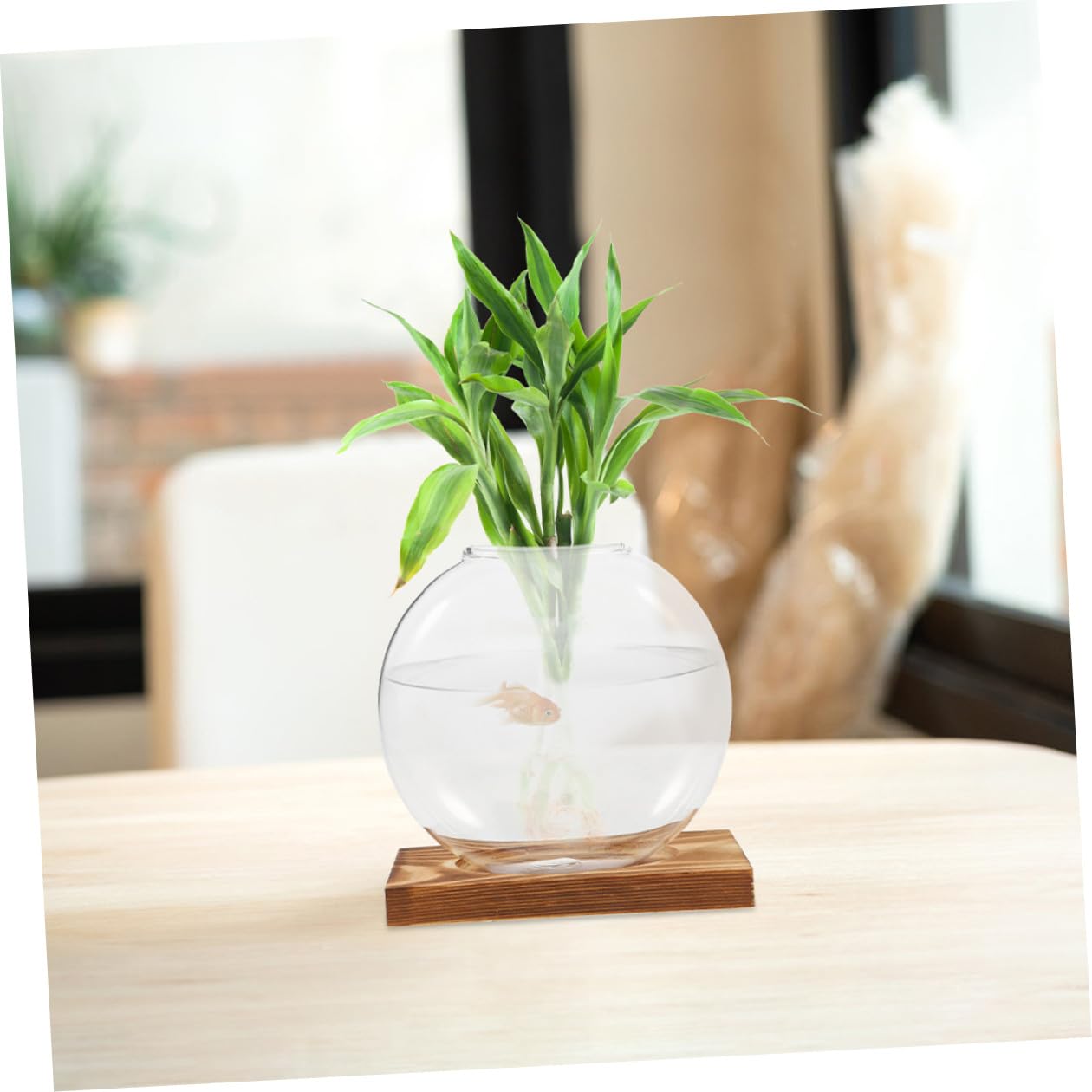 JOINPAYA 2pcs Small Glass Vase with Wooden Terrarium Stand, Hydroponic Planter for Indoor Plants, Propagation Jars for Home Office Desk Décor