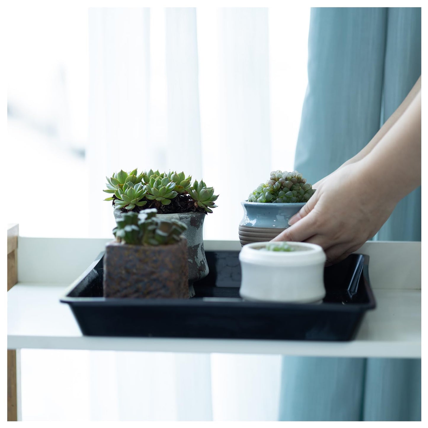 JAKOUE Square Plant Saucer 12 inch,5 Pack Pant Pot Trays, Plant Saucers for Indoors and Outdoors, Seed Starting Tray, Growing Trays,Black