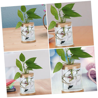 Cabilock 6Pcs Cork Lids for Hydroponic Vases Sustainable Transparent Glass Stoppers for Terrarium and Plant Propagation for Indoor Home Decor Elegant Micro Landscape Display