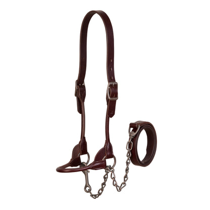 Weaver Livestock Leather Bombshell Show Cattle Halter, Adjustable, Modern Style Cow Calf Halter, Livestock Handling Equipment for Showing, Brown