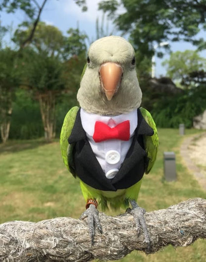 Bird Clothes Birds Flight Suit,Tuxedo Business Suit for Parrots African Greys Parakeet Cockatiel Sun Conure Christmas Party Birthday Cosplay Photo Prop Small Animals Apparel (XS,Black Suit)